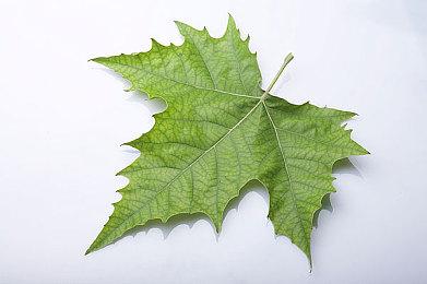 《赵云传重制版》制作团队访谈 | 第一期                         ——全新作